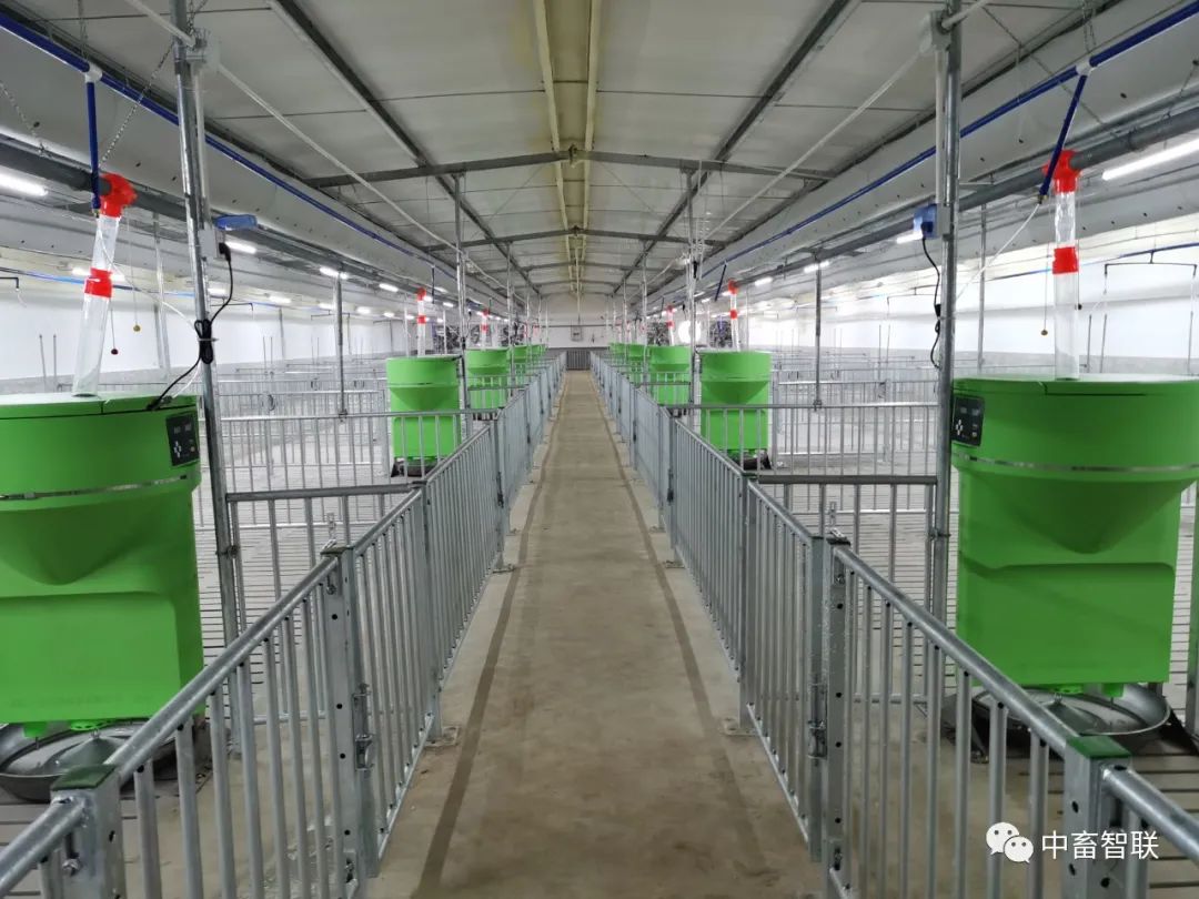 Analysis of the Underlying Logic and Equipment Costs of Smart Feeding