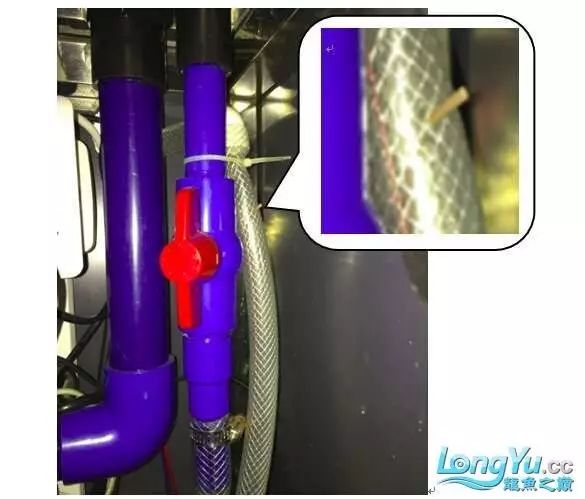DIY Fully Automatic Water Change System