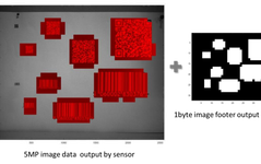 How Image Sensors Drive the Development of Embedded Vision Technology