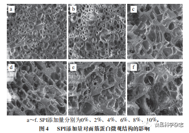 Effects of Peony Flower Stamen Protein on Dough and Gluten Properties
