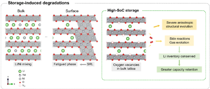 Paradoxical Role of Structural Degradation in Battery Performance
