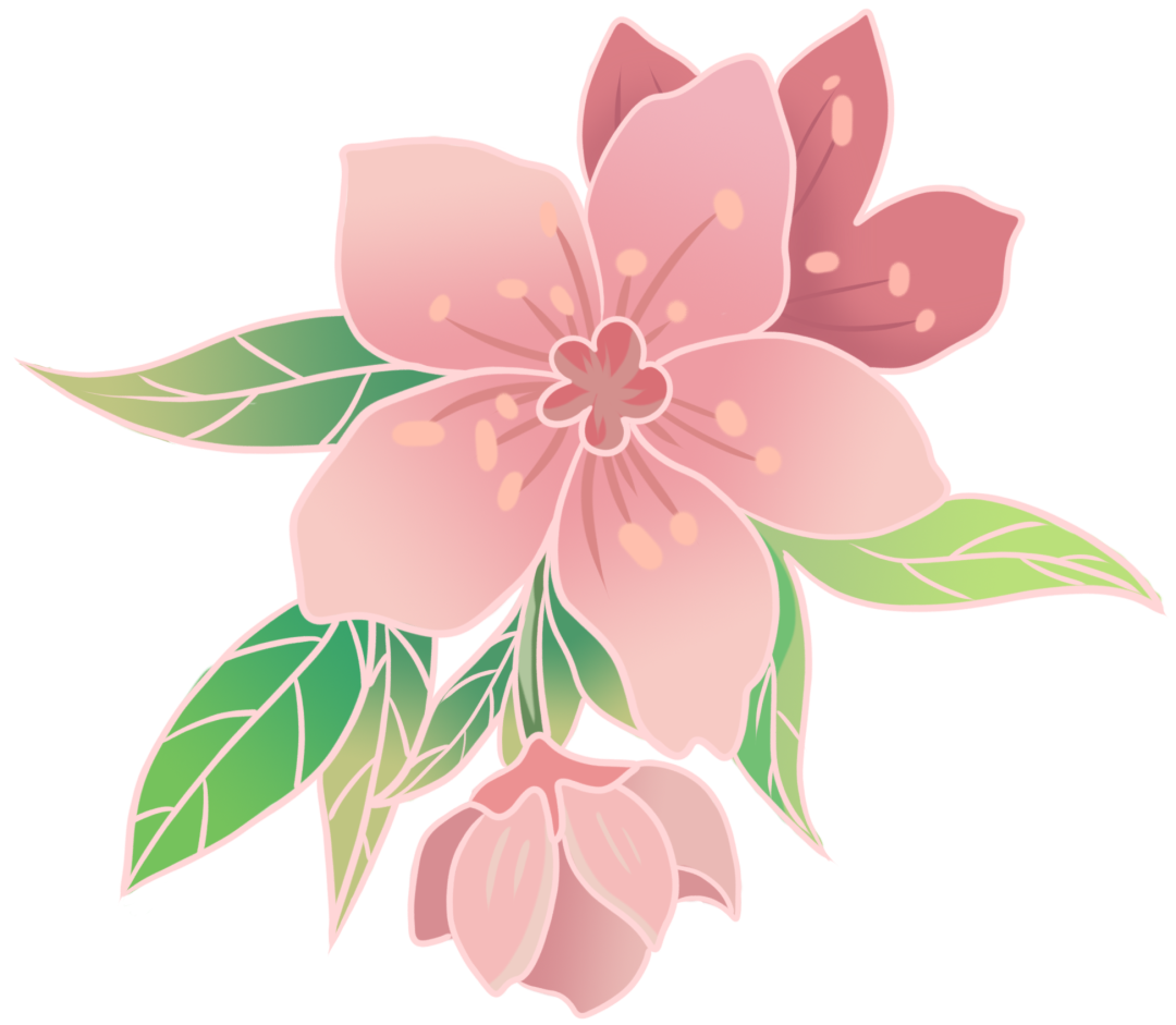 Effects of Peony Flower Stamen Protein on Dough and Gluten Properties