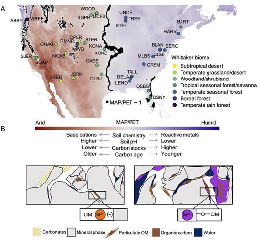 Divergence and Persistence of Mineral-Associated Organic Matter in Soil Driven by Moisture