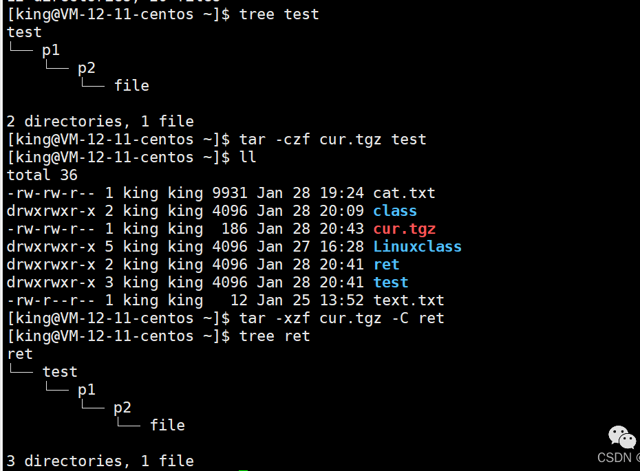 Comprehensive Guide to Common Linux Commands