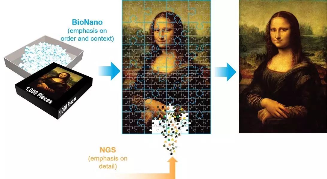 Cutting-Edge Sequencing Technologies: A Detailed Introduction to Single-Molecule Optical Mapping