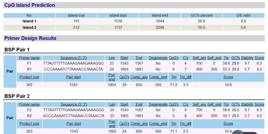 Bisulfite Sequencing PCR (BSP) Method