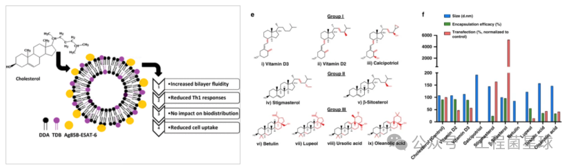 Understanding The Mechanism of Immune Response Triggered by Different Lipid Components in Lipid Nanoparticles (LNP)