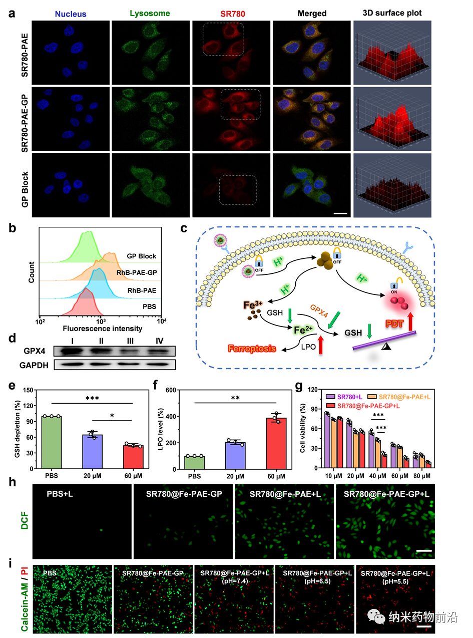 pH-Activated Nanoplatform for Tumor Therapy