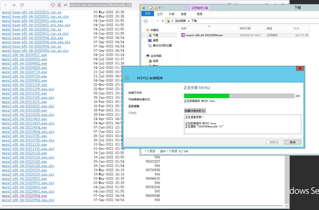Using LLVM Pass in Rust on Windows