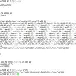 Essential Skills for Linux Experts: A Comprehensive Guide to Environment Variables