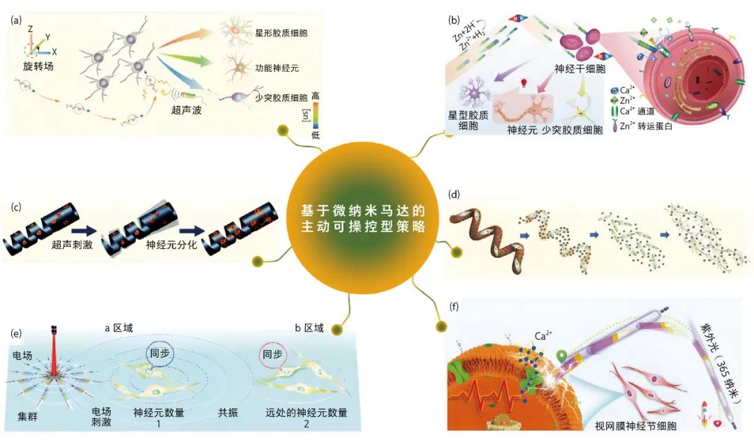 Micro-Nano Robots: New Technological Attempts in Treating Neurological Diseases