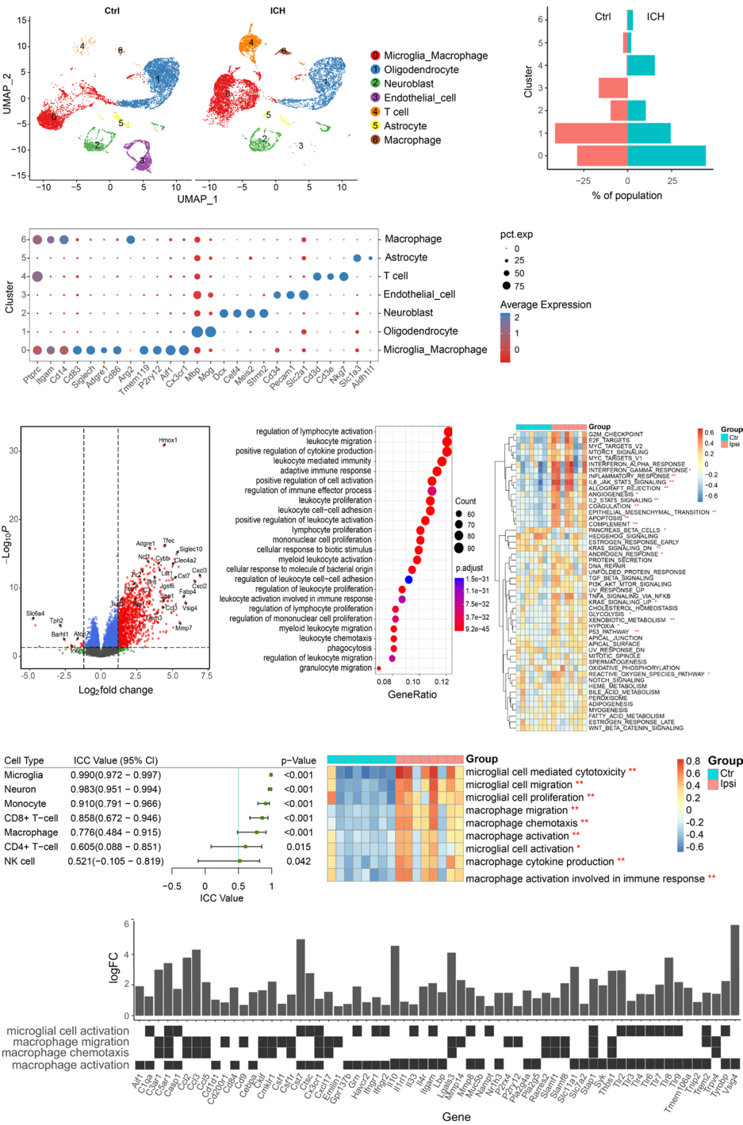 Spi1 Regulates Inflammatory Response of Microglia/Macrophages After Intracerebral Hemorrhage via PI3K/AKT/mTOR Pathway