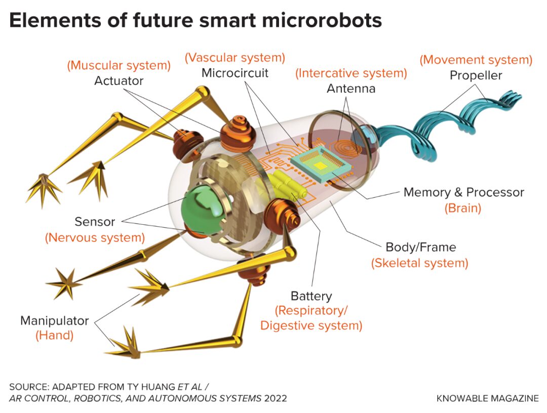 How to Create a Truly Intelligent Micro-Robot