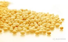 Mechanism of Ultrasonic Emulsification of Soy Protein Isolate