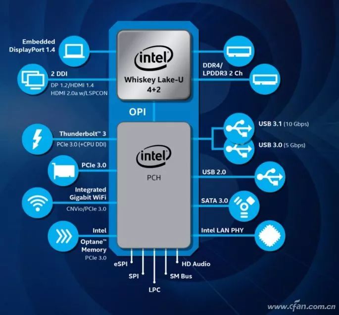 Which Lightweight Laptop CPU Is Stronger? Intel's 21 Low-Power Processors Ranked!