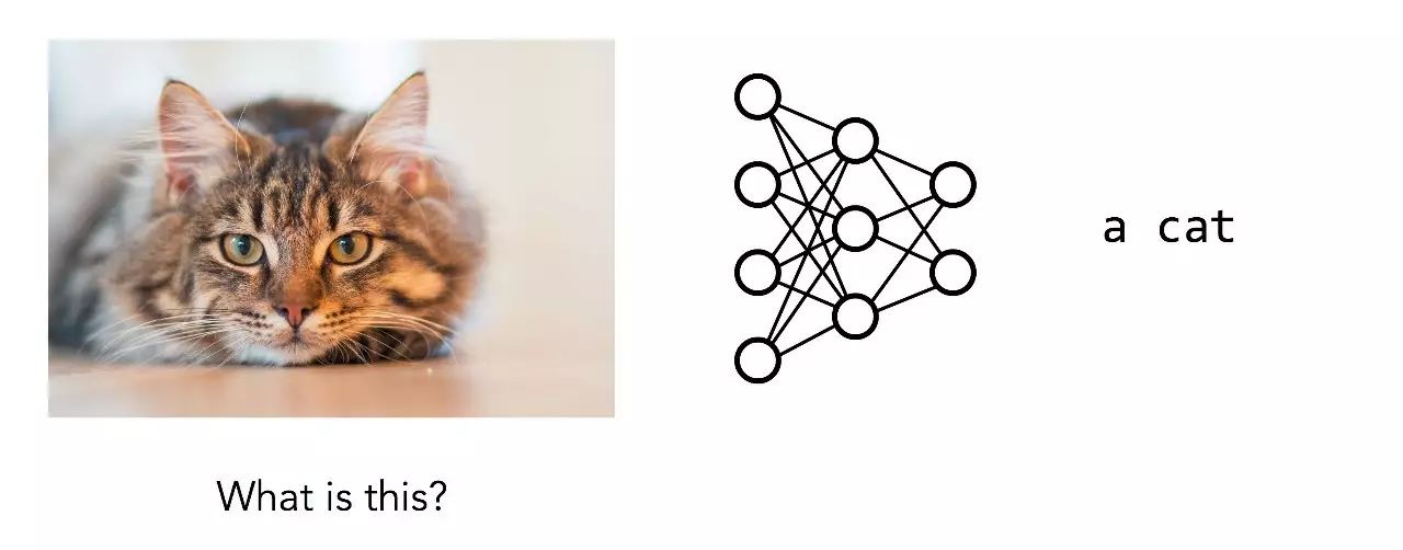 Berkeley: Modular Neural Networks for Complex Reasoning