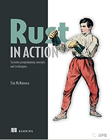 A Senior Developer's Year-Long Journey Learning Rust
