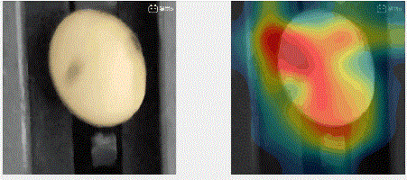 How NVIDIA Jetson NANO Enhances Soybean Yield