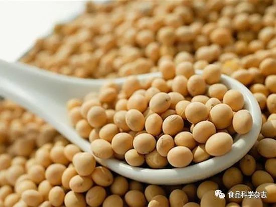 Maillard Reaction of Soy Protein Isolate with Glucose and Maltose Under Humid Heat Conditions