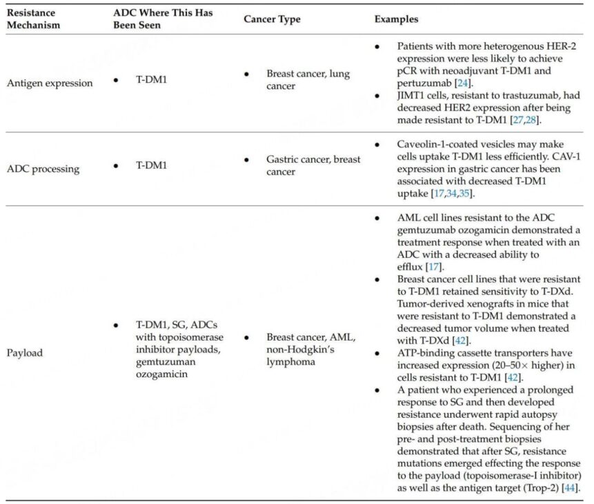 Understanding ADC Drug Resistance Mechanisms