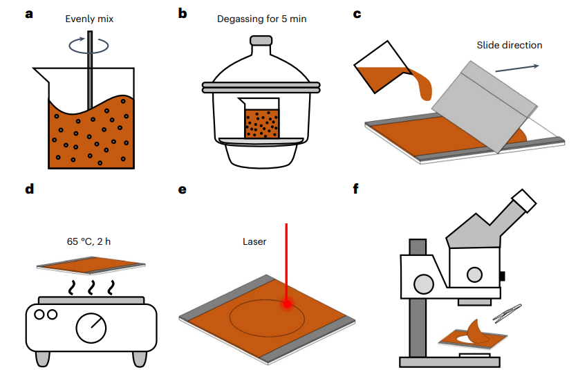 Cutting-Edge Research: Magnetic Soft-bodied Robots