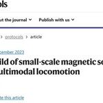 Cutting-Edge Research: Magnetic Soft-bodied Robots