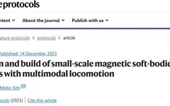 Cutting-Edge Research: Magnetic Soft-bodied Robots