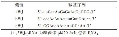 Consensus on RNA Genetic Modification for siRNA Delivery Using Negative-Charged Nano-Ultrasound Contrast Agents