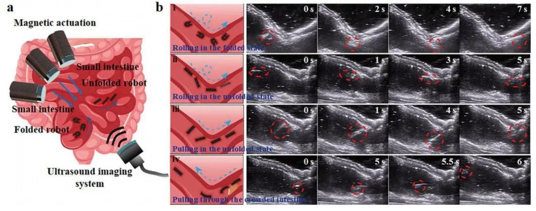 Soft Magnetic Microrobots for Targeted Drug Delivery