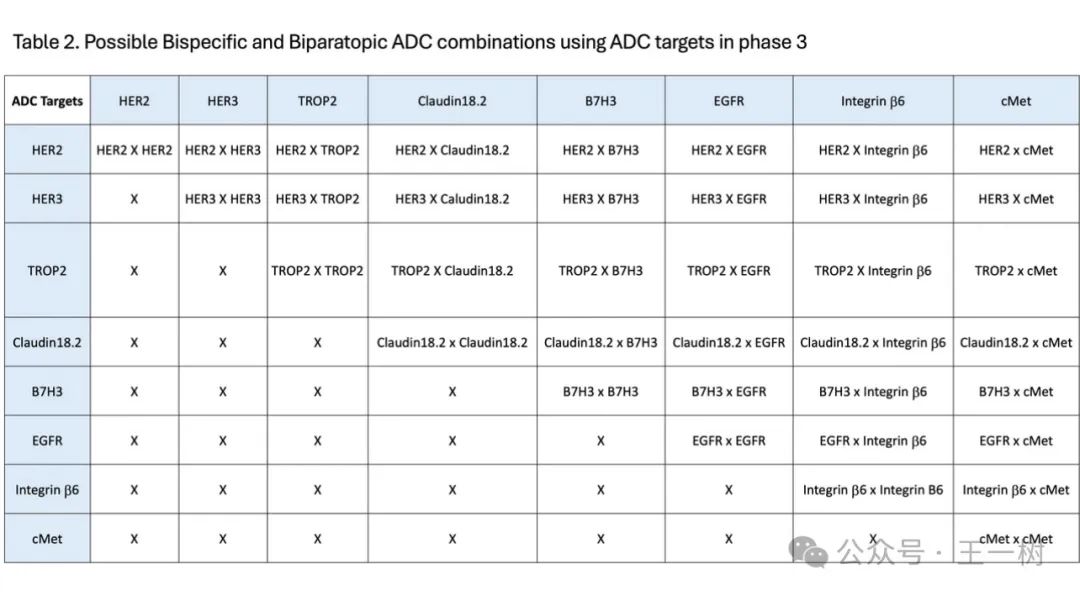 Comprehensive Understanding of ADC Bispecific Antibodies