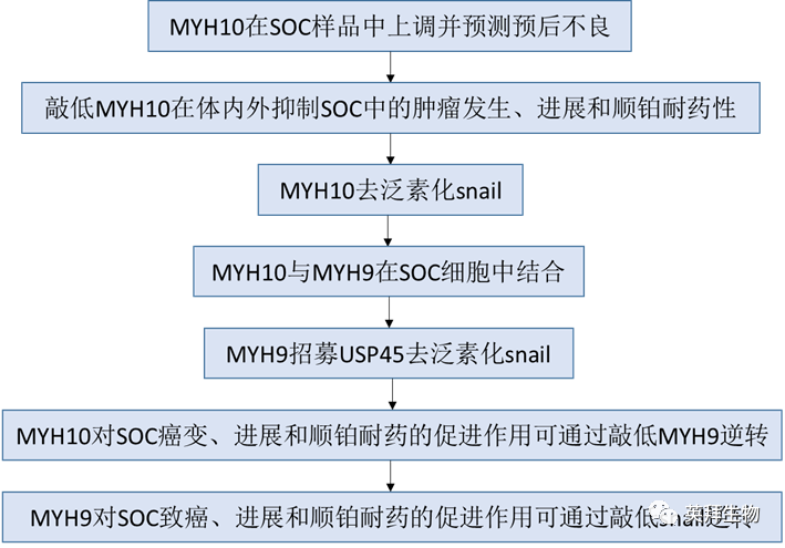 New Predictive Factors for Poor Prognosis in SOC