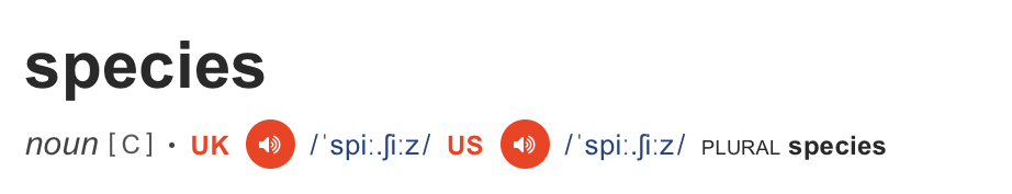 How to Pronounce Words: Beyond Phonetics