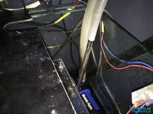 DIY Fully Automatic Water Change System