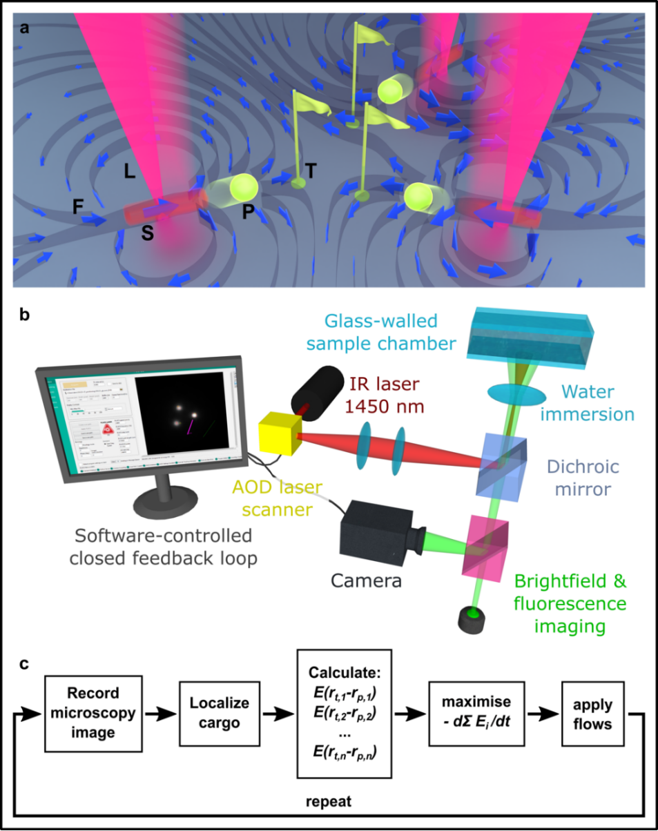 Opto-Fluidically Multiplexed Assembly and Micro-Robotics
