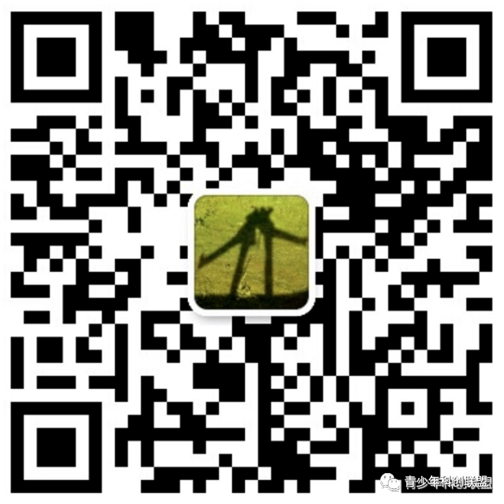 Youth Level Examination (Robot Technology) - Examination Process