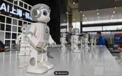 Understanding Intelligent Robots
