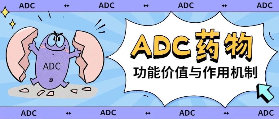 Understanding ADC Drugs: A Visual Guide