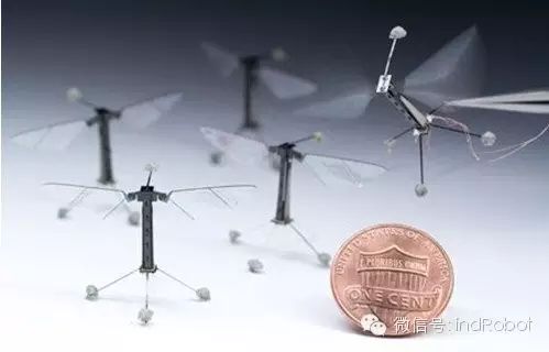 Exploring Beautiful and Adorable Bionic Robots