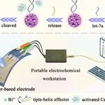 Near-Infrared-Induced Photothermal-Pyroelectric Synergy for Enhanced Sensing Performance