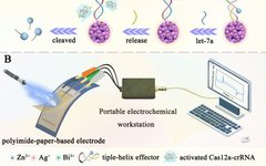 Near-Infrared-Induced Photothermal-Pyroelectric Synergy for Enhanced Sensing Performance