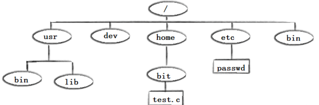 Comprehensive Guide to Linux File Management: Essential Knowledge and Practical Commands!