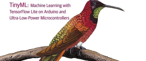 TinyML: Is FPGA the Best Application for AI?