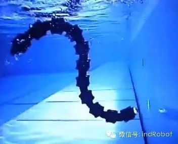 Exploring Beautiful and Adorable Bionic Robots