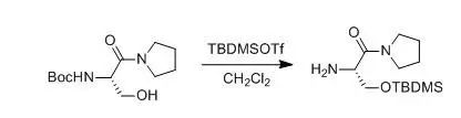 Protection of Amines with Boc Group