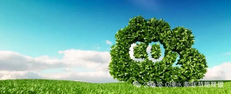 Understanding Voluntary Carbon Reduction Mechanisms: ACR, ART, CCER, CDM, CAR, GCC, GS, VCS