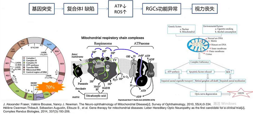 Professor Chen Juan: A Case of Unusual Pediatric Macular Degeneration