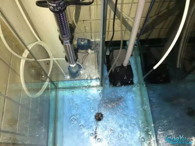 DIY Fully Automatic Water Change System