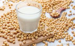 Effects Of Ultrasonic Pretreatment On Soy Protein-Isolate-Catechin Non-Covalent/Covalent Complex Structure And Function