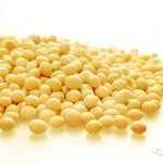Impact of Extrusion Parameters on Soy Protein Microstructure