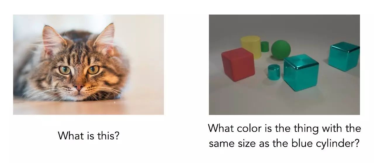 Berkeley: Modular Neural Networks for Complex Reasoning